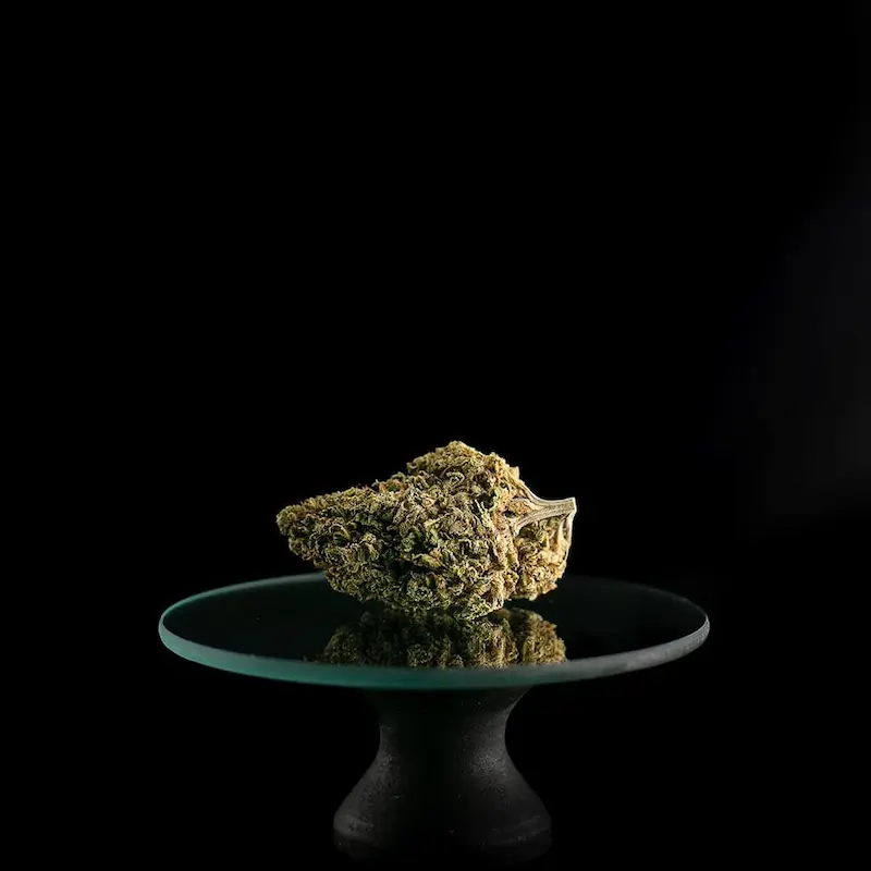 fleurs cbd bio