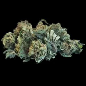 apple haze cbd-belscbdshop